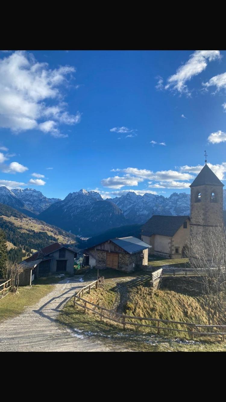 Monica Appartement Santo Stefano Di Cadore Buitenkant foto