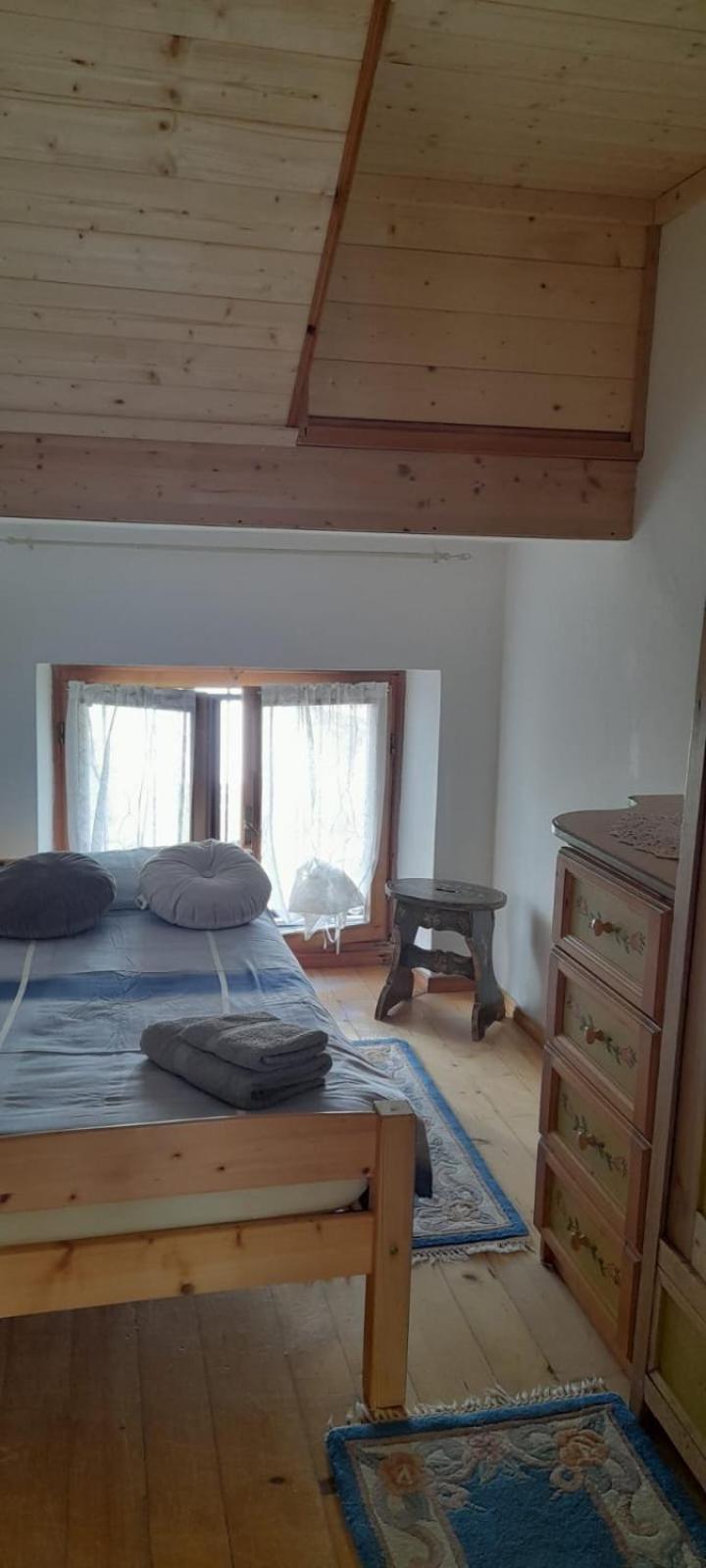 Monica Appartement Santo Stefano Di Cadore Buitenkant foto