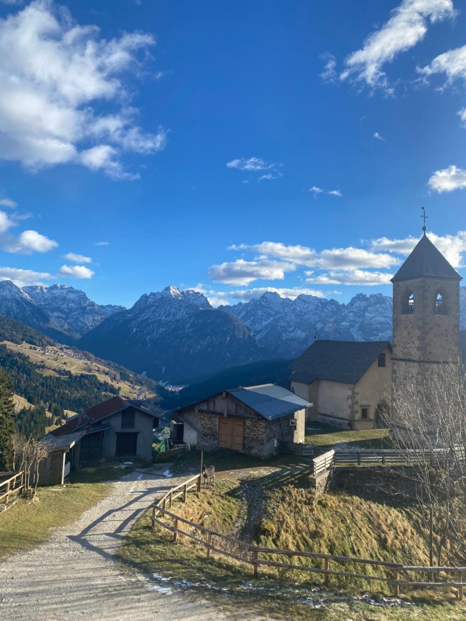 Casa Monica Appartement Santo Stefano Di Cadore Buitenkant foto